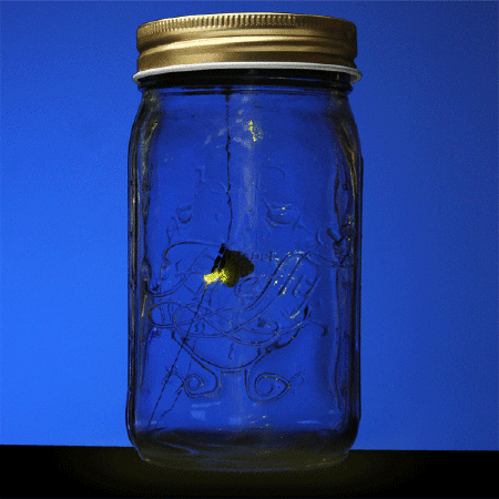 Электронный светлячок в банке - Firefly in a jar фото