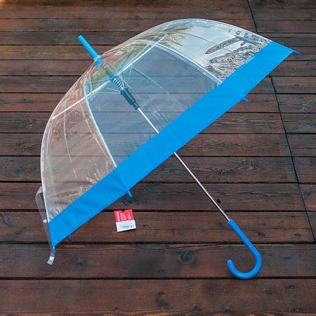 Зонт прозрачный (голубая окантовка) фото
