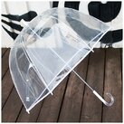 Зонт Прозрачный (белая окантовка) фото