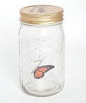 Электронная бабочка в банке (Butterfly in a jar) 2.0 фото 10