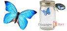 Электронная бабочка в банке (Butterfly in a jar) 2.0 фото 3