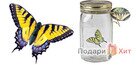 Электронная бабочка в банке (Butterfly in a jar) 2.0 фото 4