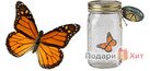 Электронная бабочка в банке (Butterfly in a jar) 2.0 фото 5
