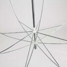 Зонт Прозрачный (черная окантовка) фото 3