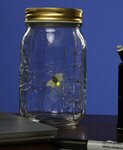 Электронный светлячок в банке - Firefly in a jar фото 1