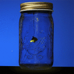 Электронный светлячок в банке - Firefly in a jar фото