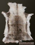 Натуральные оленьи шкуры из Лапландии фото