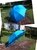Зонт Лист лотоса (голубой) фото 0