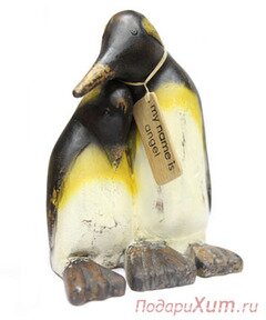 Пингвин Энжел фото