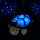 Проектор звездного неба - ночник Черепаха фото